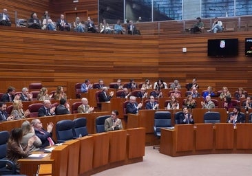 Las Cortes de Castilla y León instan a que el Gobierno lance ayudas a los afectados por el apagón de la TDT