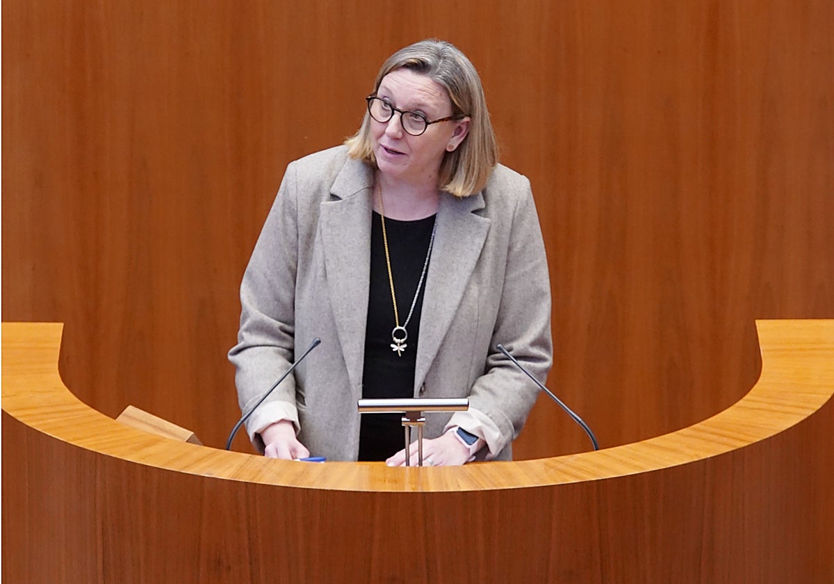 La consejera de Familia e Igualdad de Oportunidades, Isabel Blanco, en el pleno de las Cortes de Castilla y León