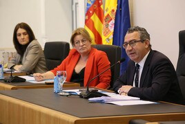 La Diputación de Alicante aprueba el presupuesto más municipalista y social de su historia con el voto en contra de la oposición