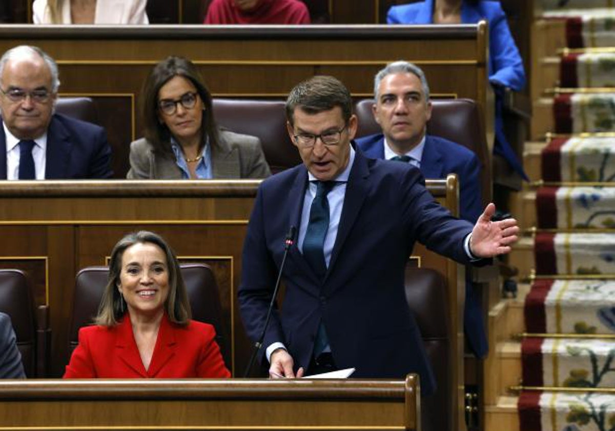 l líder del PP, Alberto Núñez Feijóo, durante un pleno del Congreso de los Diputados