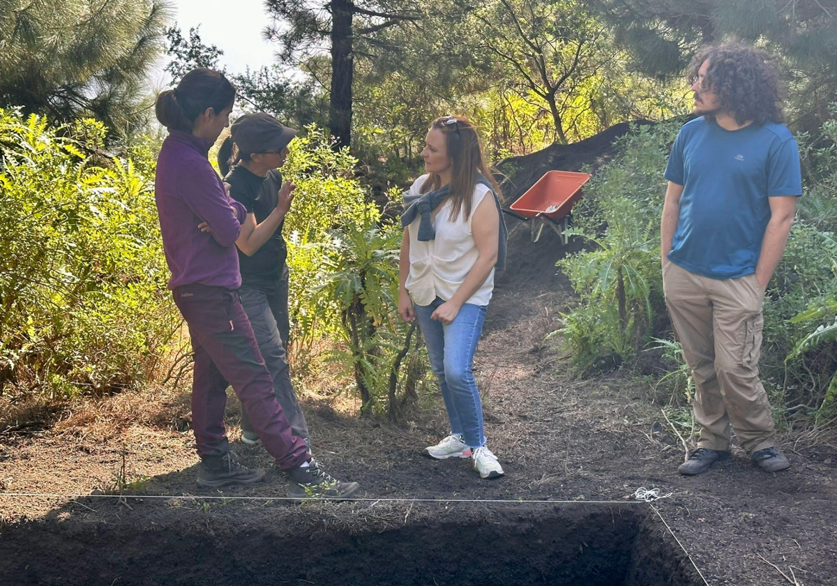 Trabajos de excavación en Pino del Consuelo