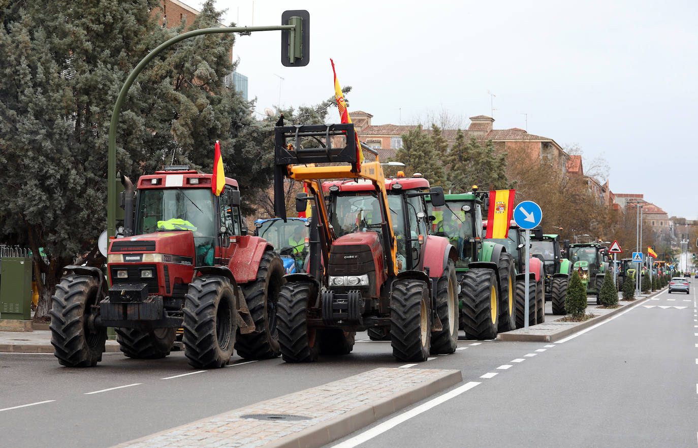 Las imágenes de la tractorada de este viernes en Toledo