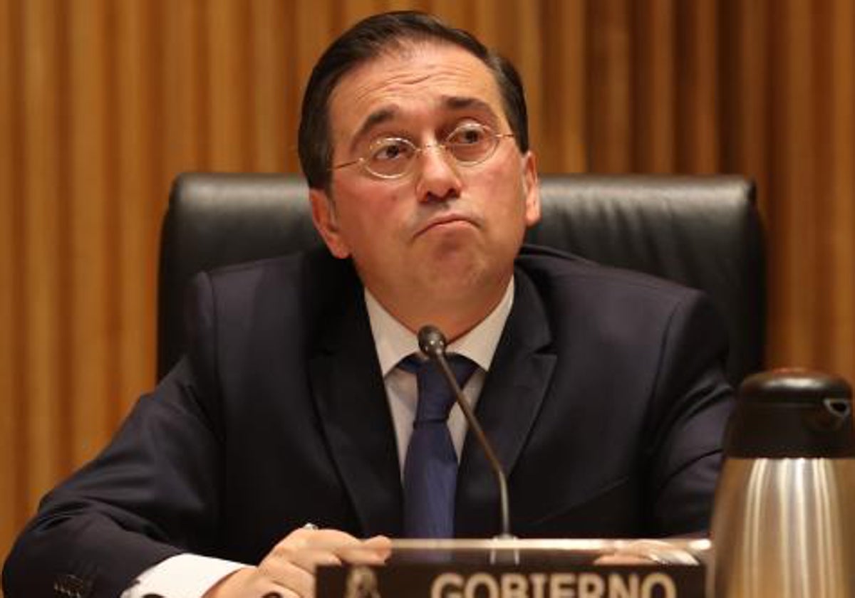 El ministro de Exteriores, José Manuel Albares, durante una comparecencia en el Congreso