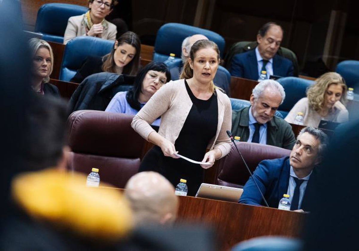 Ana Dávila, consejera de Familia madrileña