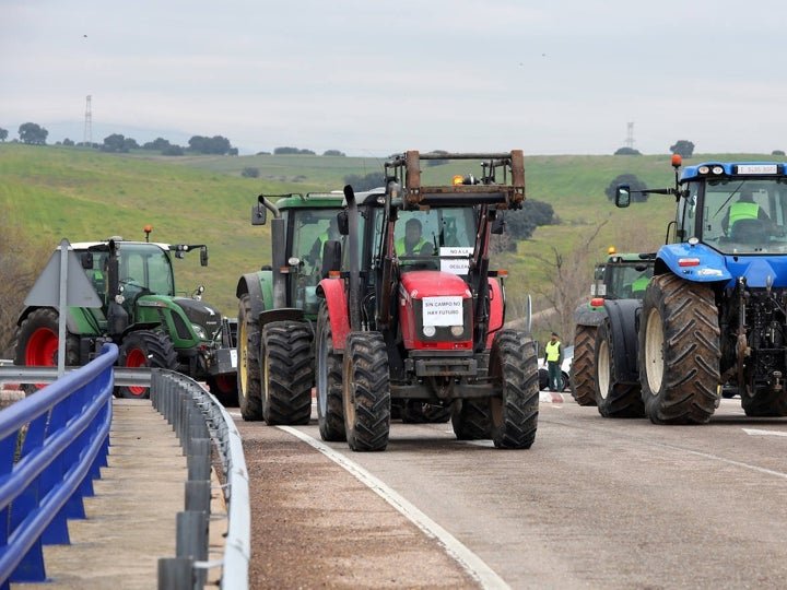 Las concentraciones de agricultores y ganaderos en Toledo, en imágenes