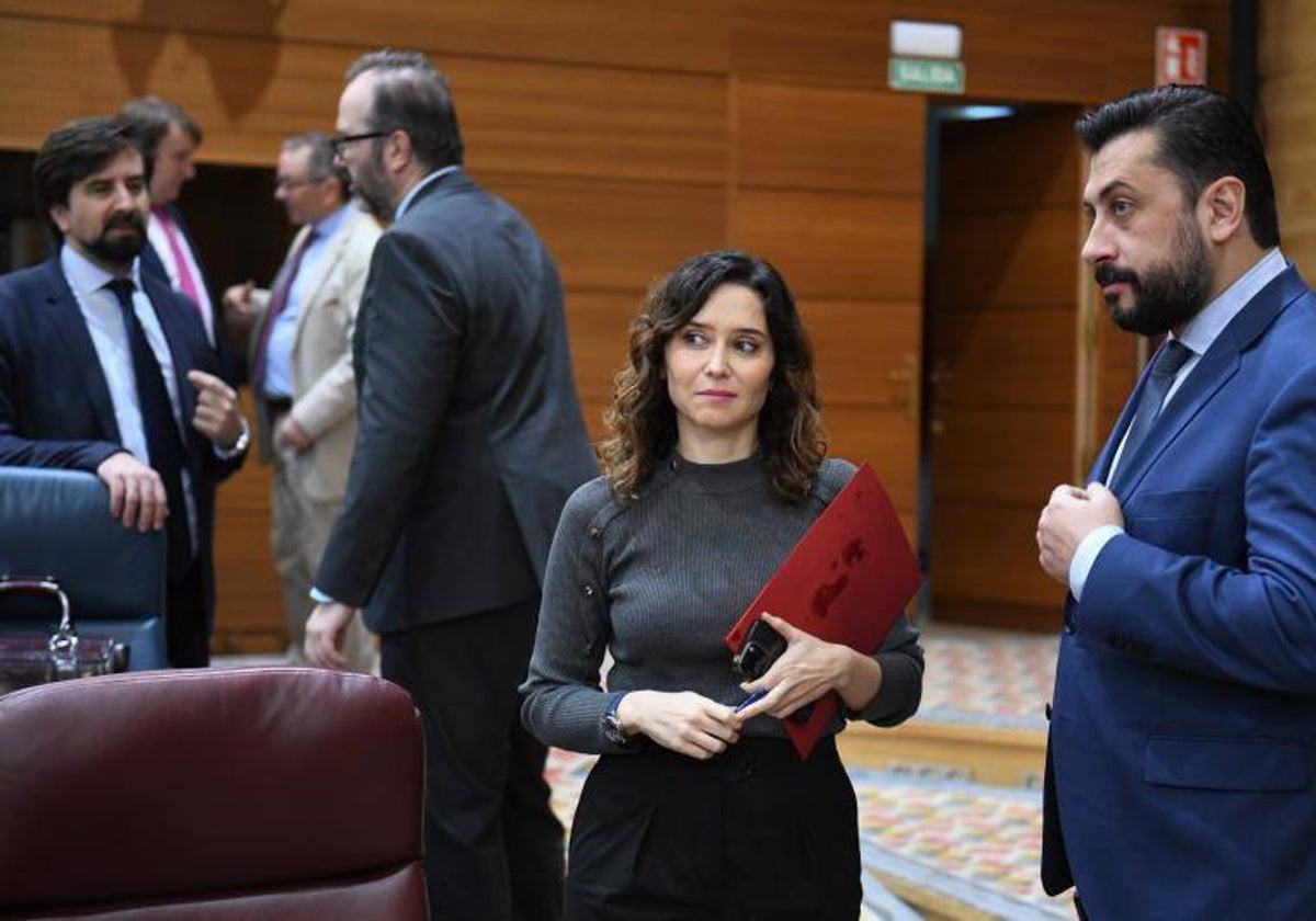Isabel Díaz Ayuso y Carlos Díaz-Pache, en el Pleno de la Asamblea de este jueves