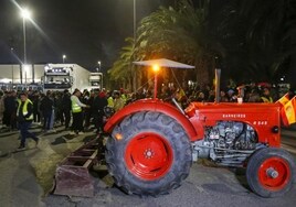 La Justicia avala que la Subdelegación del Gobierno de Alicante prohíba que dos tractoradas invadan la A-7 y la A-31 este viernes