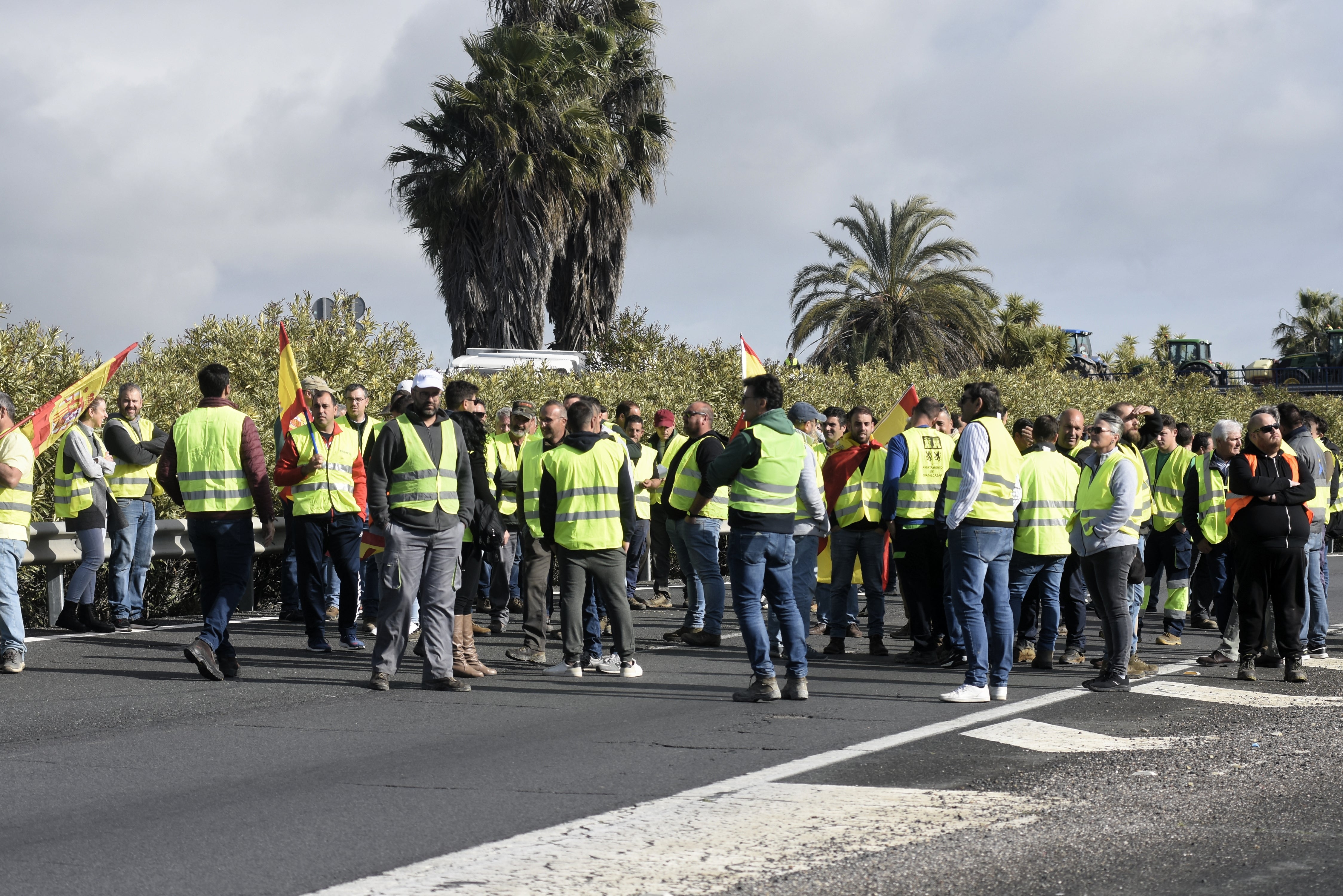 Fotos: el corte de la autovía A-4 por los agricultores en La Carlota
