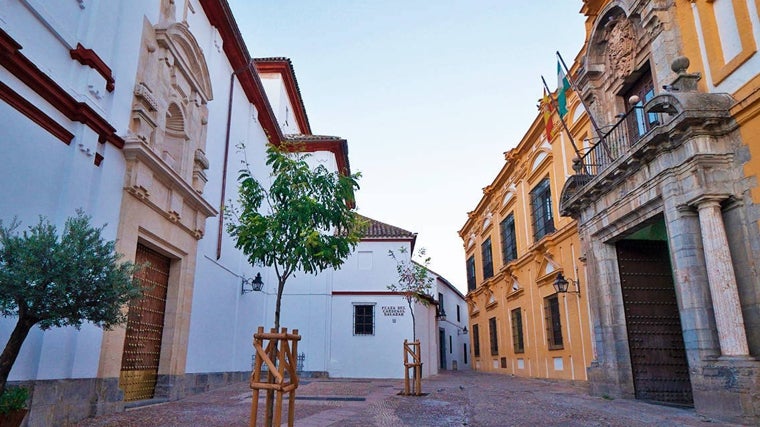 Vista de la plaza del Cardenal Salazar