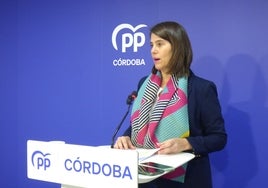 El PP le recrimina a Sánchez que «castiga a Córdoba sin capacidad eléctrica» tras desestimar las alegaciones de potencia