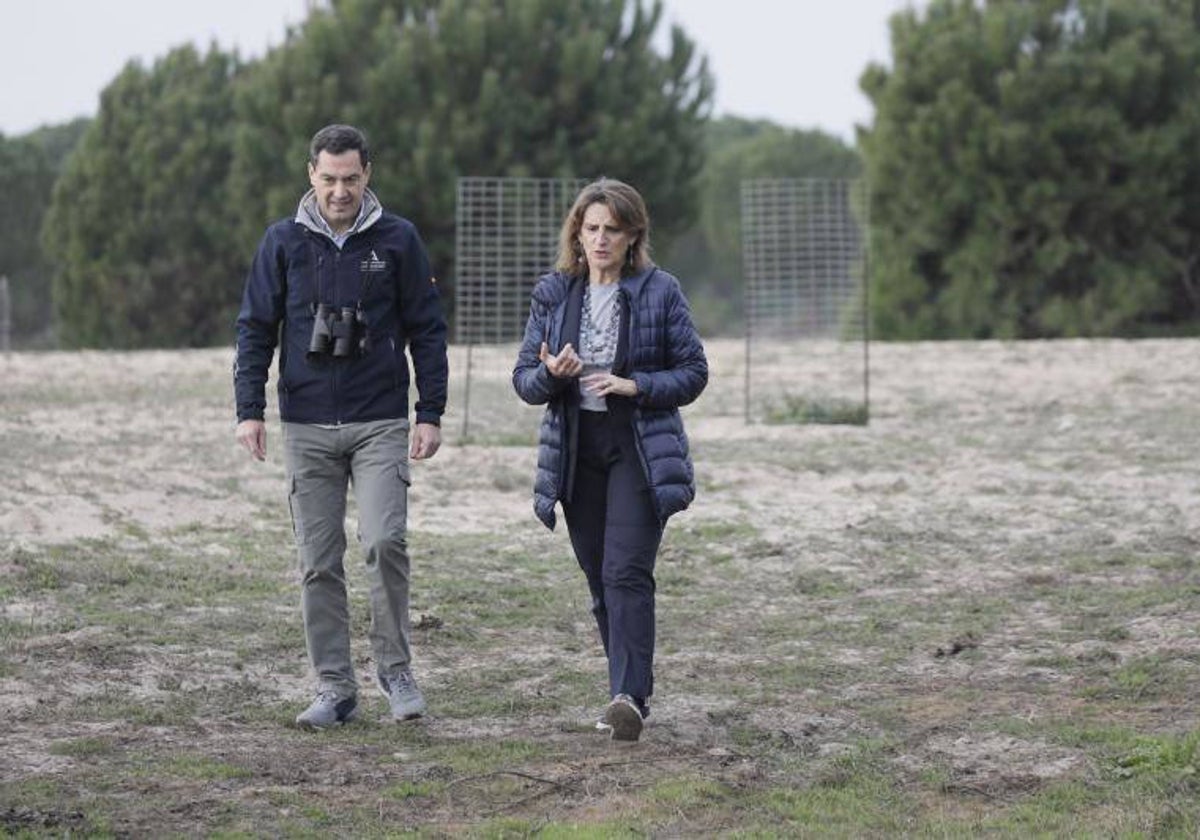 El presidente andaluz, Juanma Moreno, y la vicepresidenta Teresa Ribera