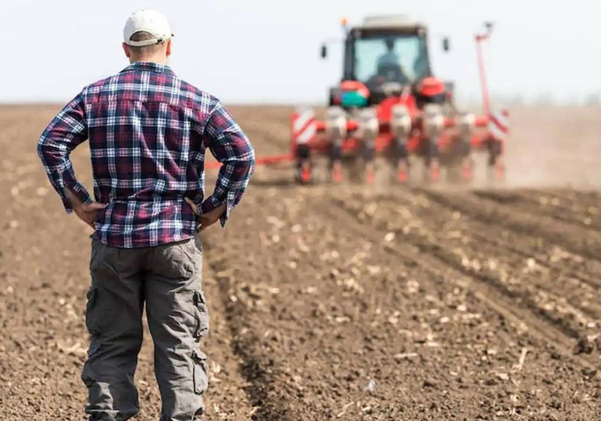 Agricultor faenando en el campo