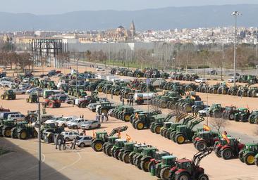 Tractoradas en Córdoba este martes: salida, horario, carreteras afectadas y llegada a la capital