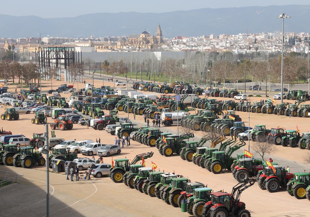 Tractores durante la protesta de agricultores que llegó a la capital el 6 de febrero