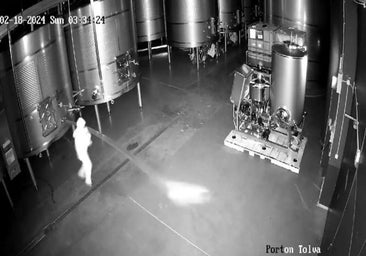 Asalto a la bodega Cepa 21: qué se sabe y cuáles son las incógnitas del sabotaje