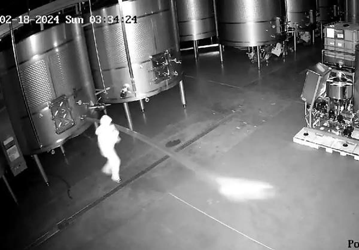 Las cámaras de la bodega Cepa 21 captaron el sabotaje