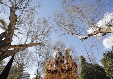 Ritmo antes que estética: las cofradías buscan la carrera oficial por la Victoria y Fleming