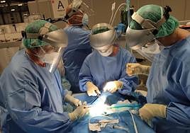 El Servicio Andaluz de Salud activará en abril su plan para operar a 116.000 pacientes en listas de espera