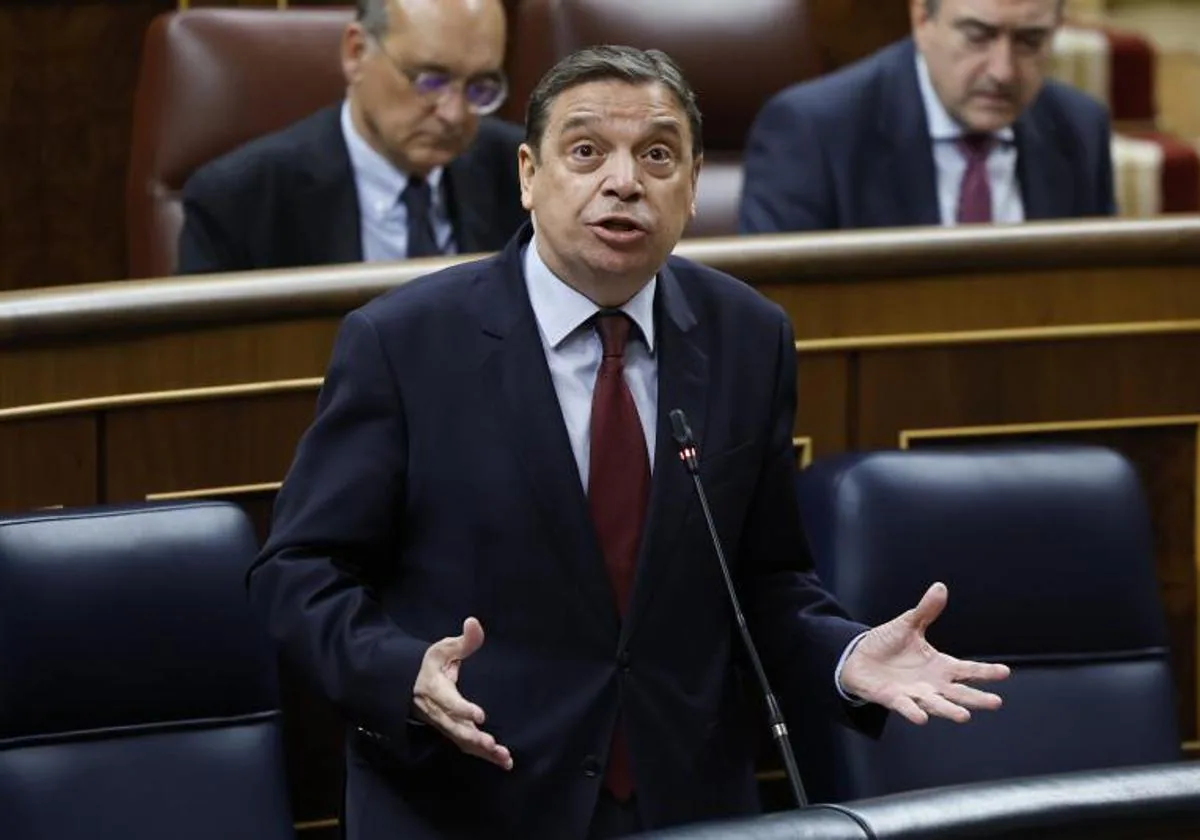 El ministro de Agricultura, Luis Planas, durante la sesión de control en el Congreso