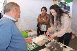 La localidad castellonense de Culla celebra este fin de semana el XX aniversario de la Muestra de la Trufa