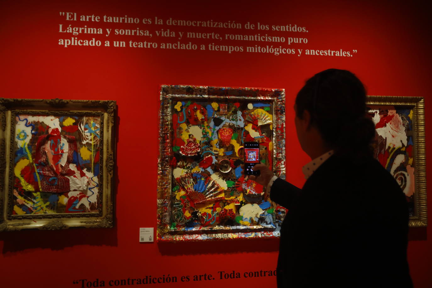 Fotos: la impactante exposición de Aldo Comas en el Museo Taurino de Córdoba