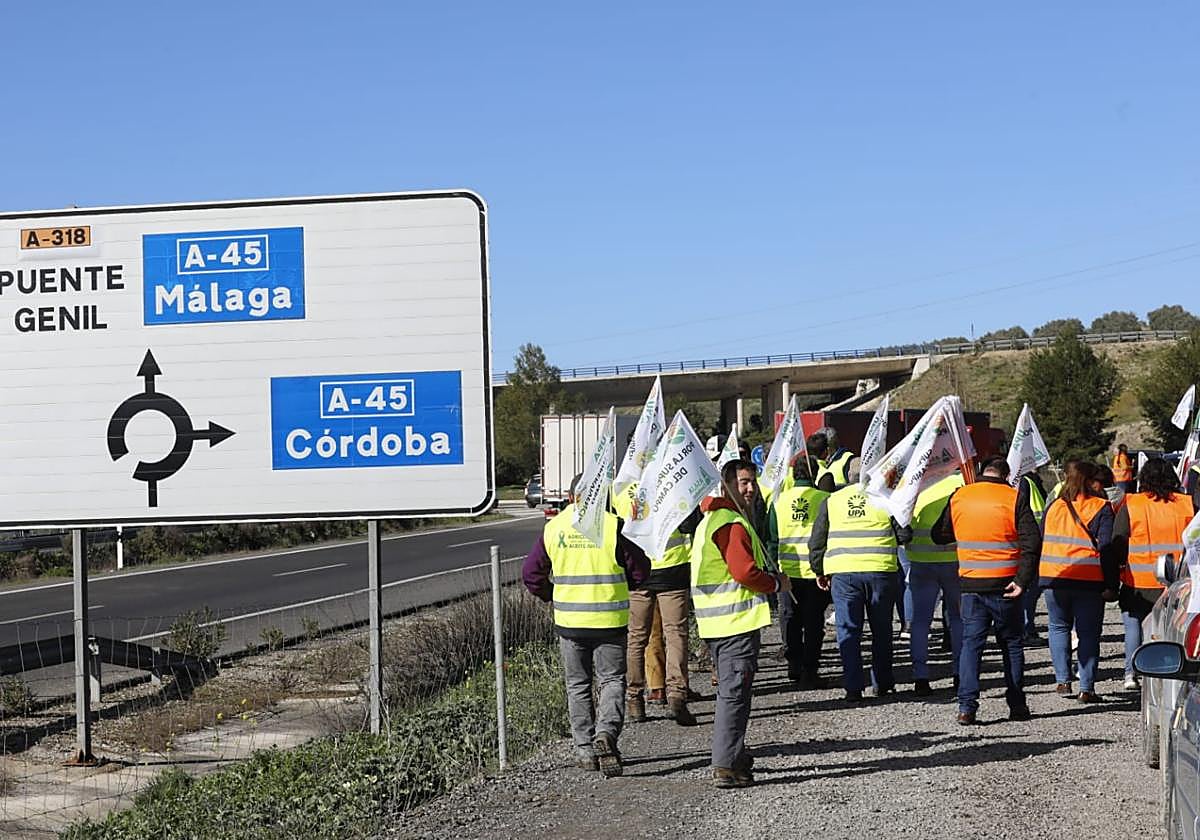 Manifestantes llegando para el corte de la A-45 a la altura de Lucena
