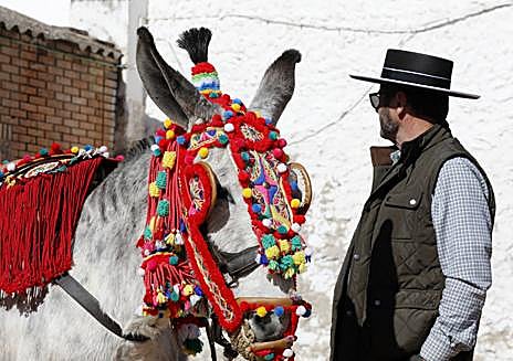 Imagen secundaria 1 - El caballo marca el paso en Córdoba el Día de Andalucía