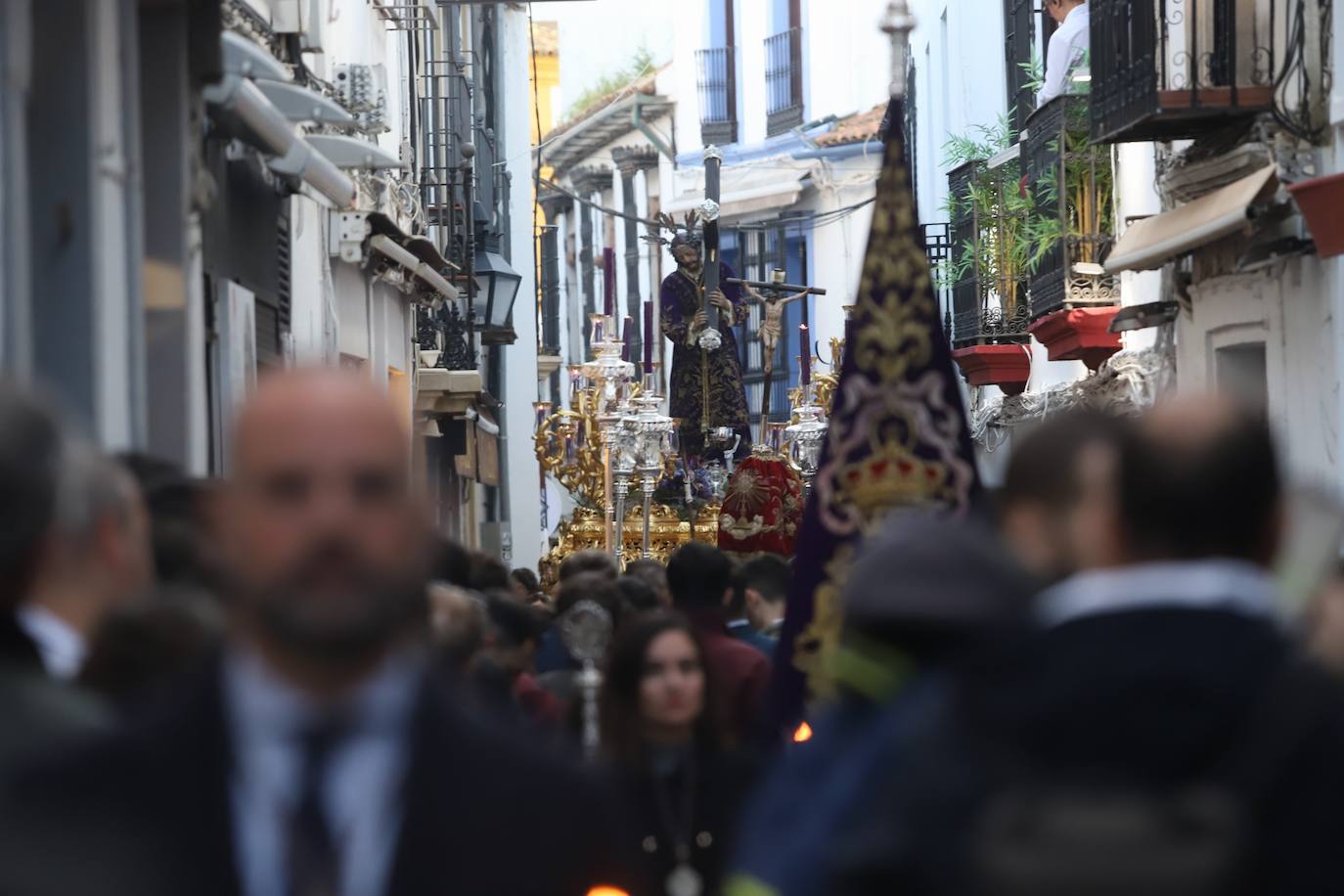 Fotos: La elegante procesión triunfal del Señor del Calvario en Córdoba