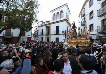 Fotos: La elegante procesión triunfal del Señor del Calvario