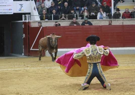 Emoción en Villaseca, donde nadie se aburre: de toros fieros a toreros bravos