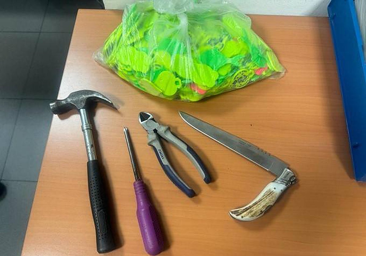 El botín y el material incautado a los dos menores en Valladolid