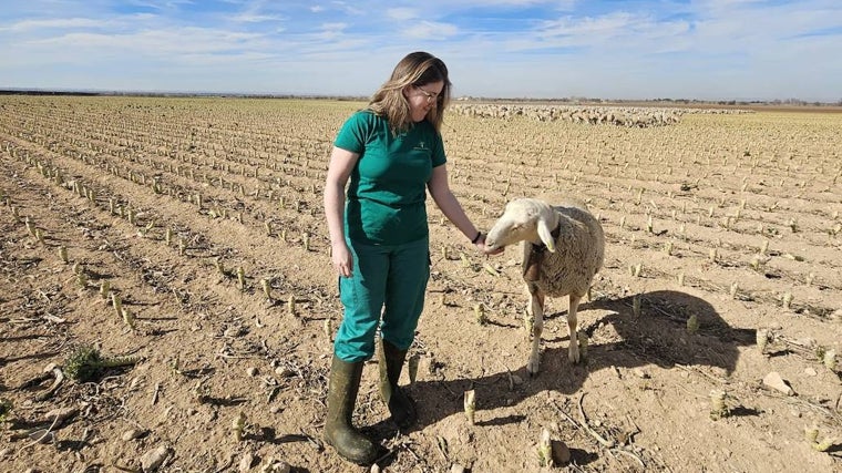 El trabajo en el campo con rostro de mujer