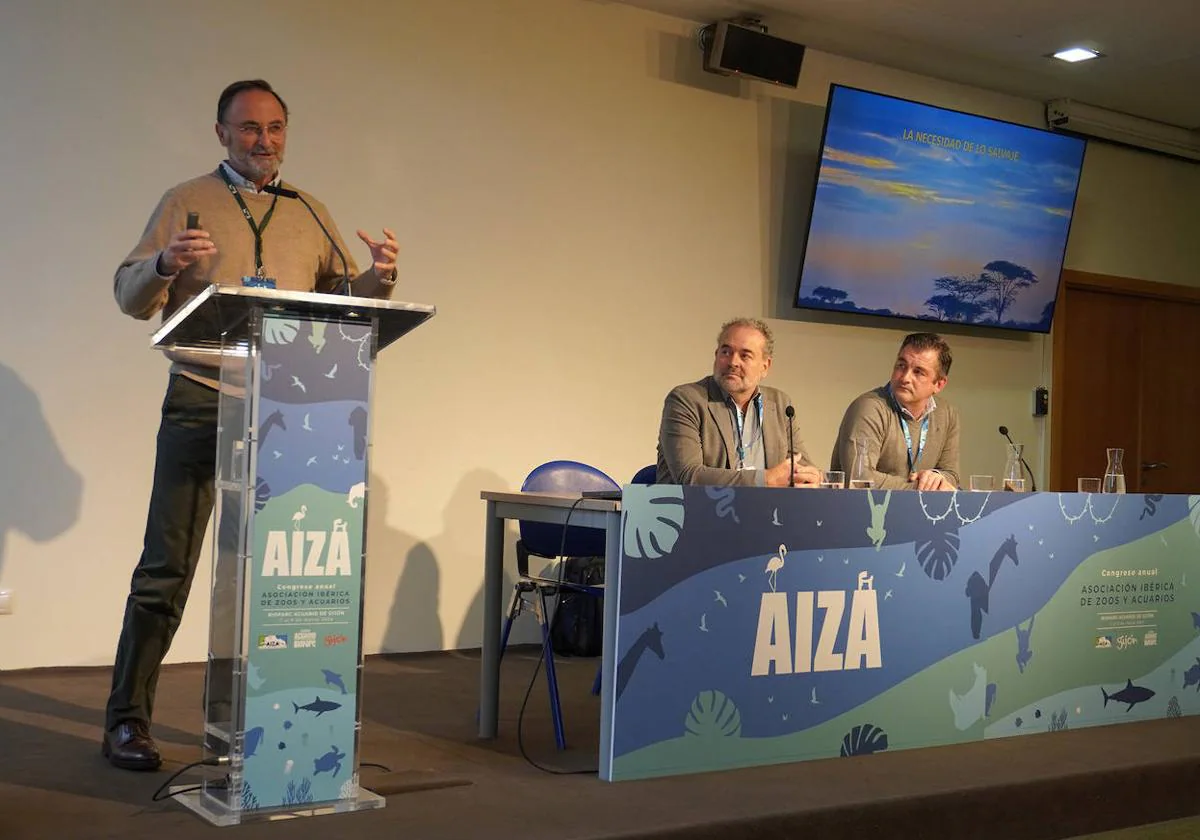 Imagen de la apertura del Congreso Anual de AIZA