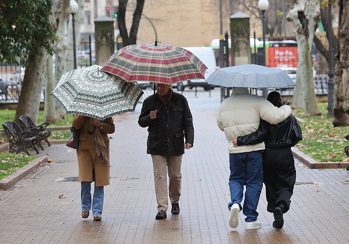 Varias personas con paraguas bajo la lluvia en el parque de Colón en Córdoba