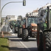 Galicia buscará aliados entre las regiones del norte para exigir «flexibilidad» en la PAC