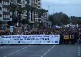 «Todas las mujeres, todos los derechos»: la manifestación del 8M convoca en Córdoba a un feminismo con varios acentos
