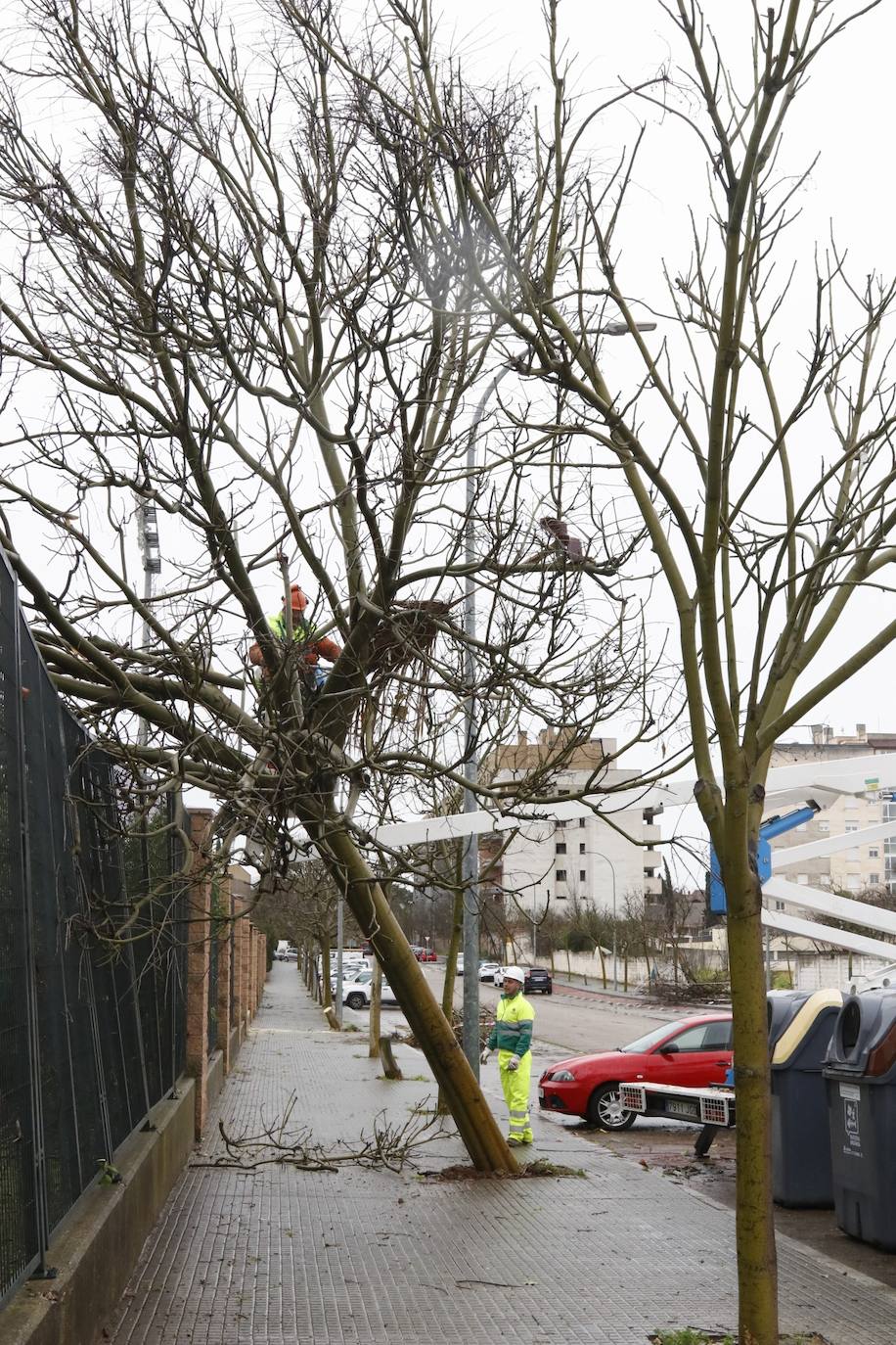 Fotos: los estragos de la lluvia y el viento en Córdoba