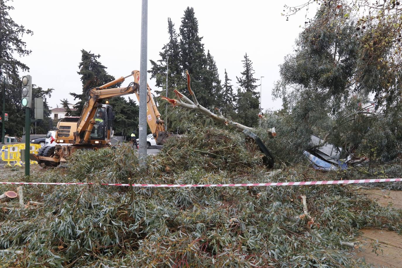 Fotos: los estragos de la lluvia y el viento en Córdoba