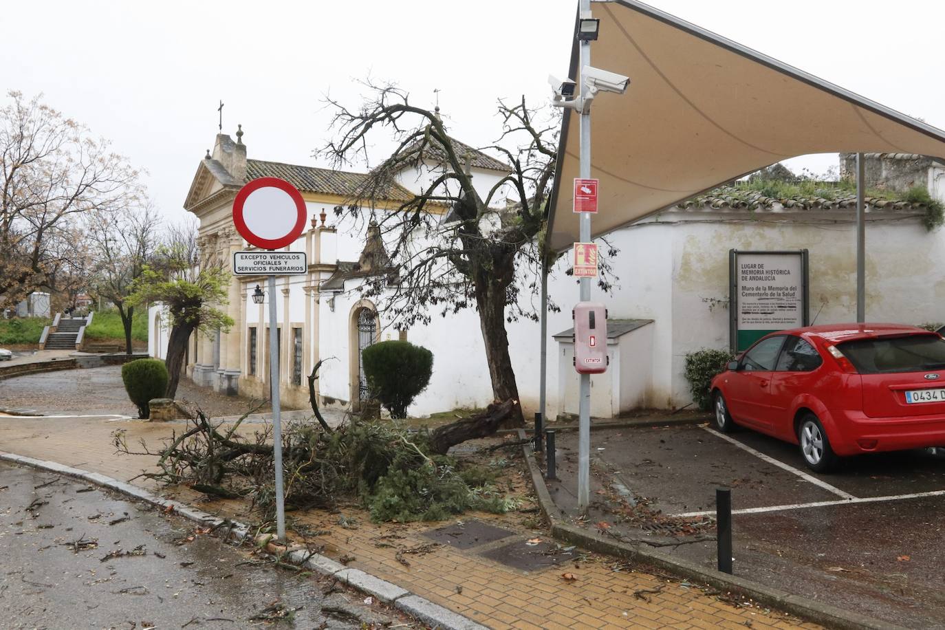 Fotos: los estragos de la lluvia y el viento en Córdoba
