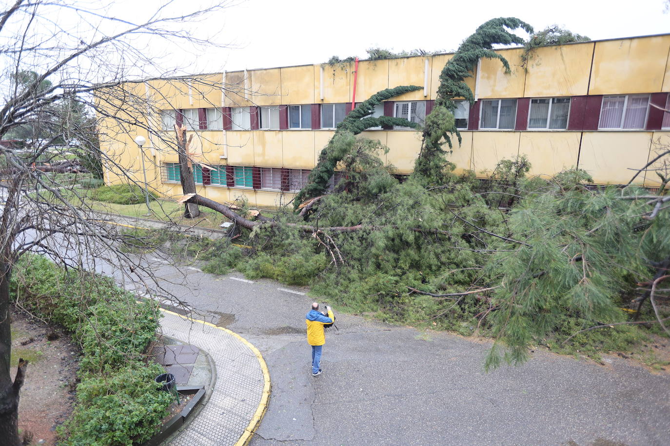 Fotos: los estragos de la lluvia y el viento en Córdoba