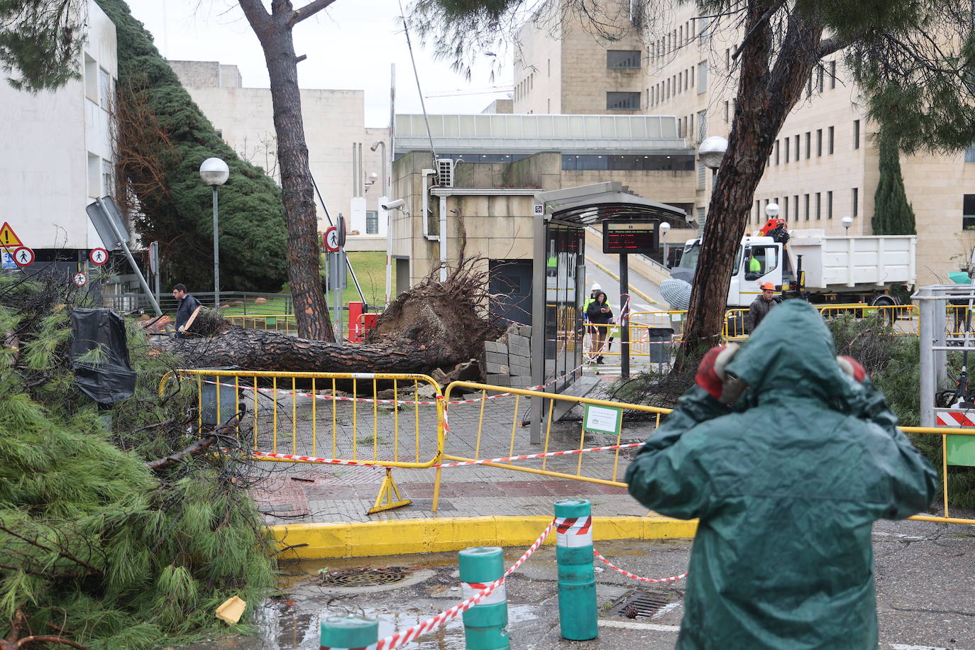 Fotos: los estragos de la lluvia y el viento en Córdoba