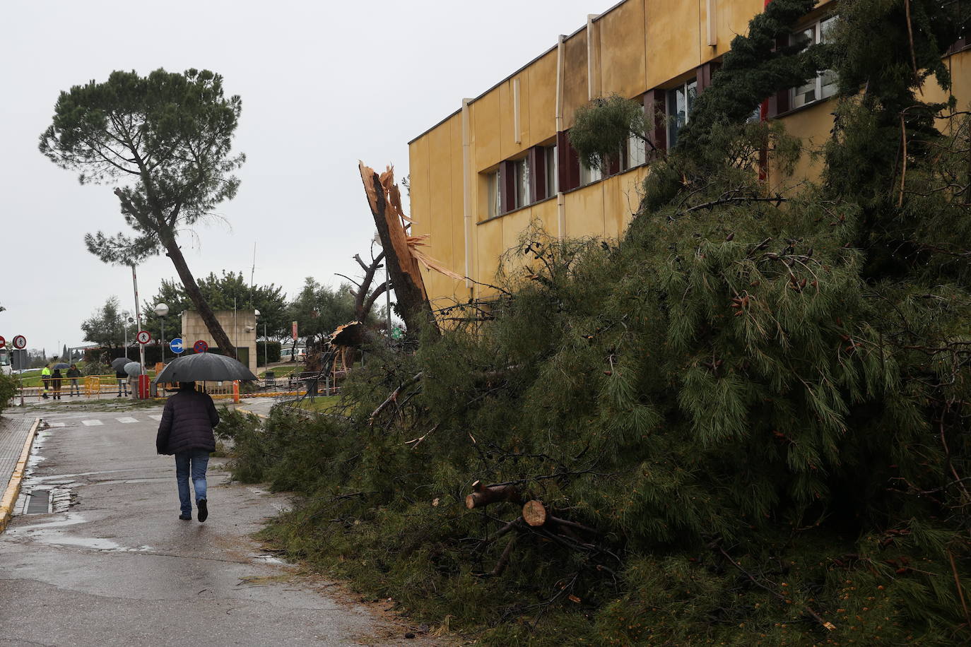 Fotos: los estragos de la lluvia y el viento en Córdoba