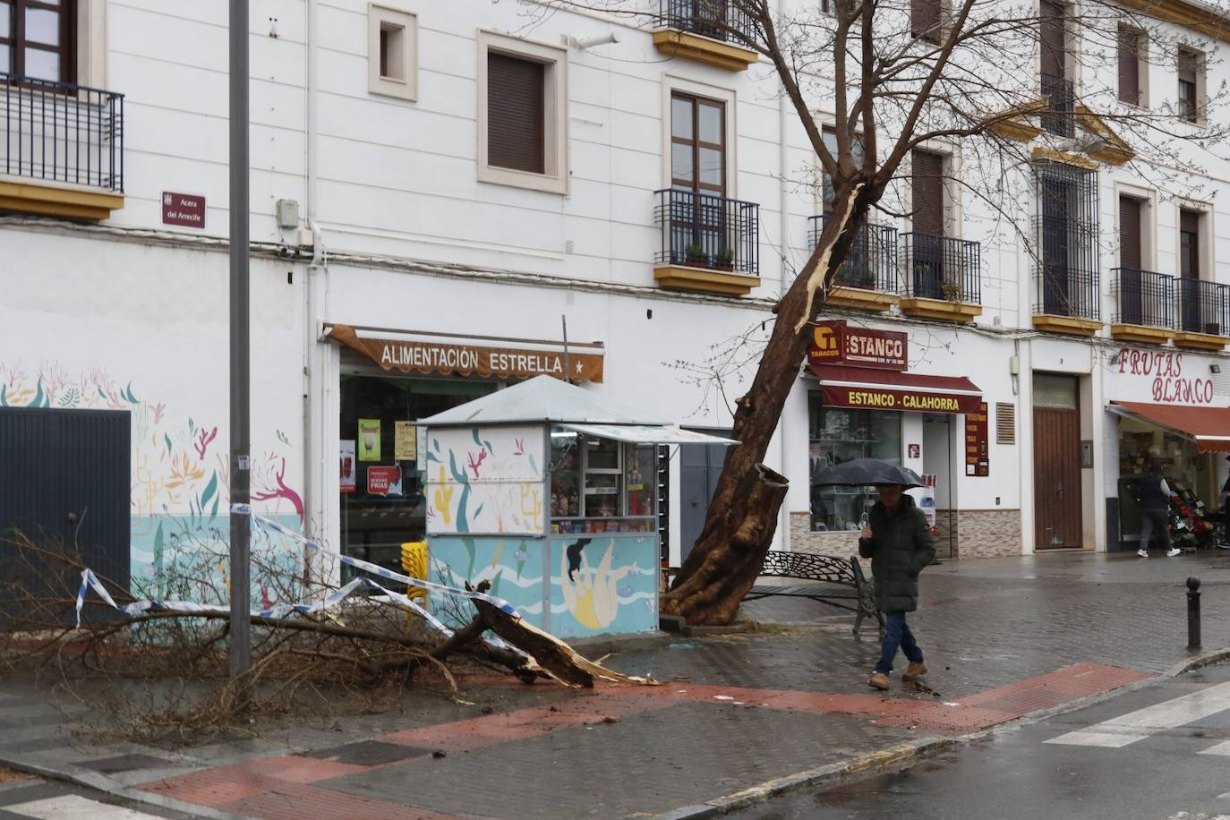 Fotos: los estragos de la lluvia y el viento en Córdoba