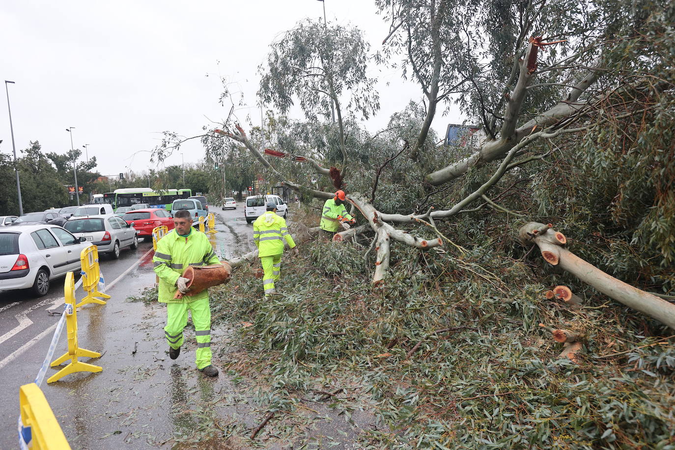 Fotos: los estragos de la lluvia y el viento en Córdoba