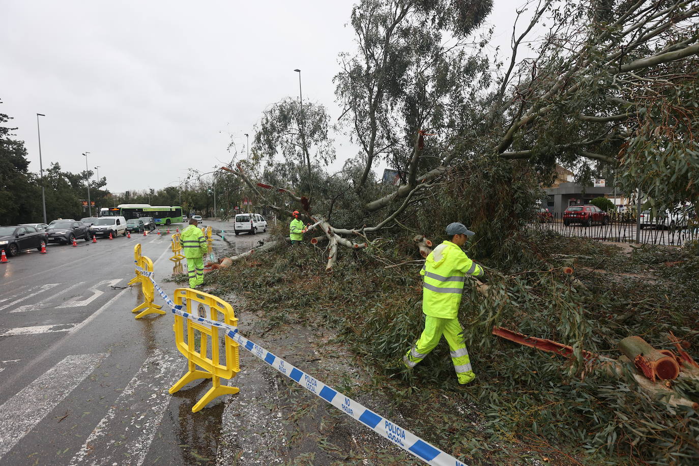 Fotos: los estragos de la lluvia y el viento en Córdoba