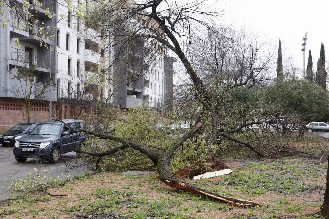 Fotos: los estragos de la lluvia y el viento en Córdoba