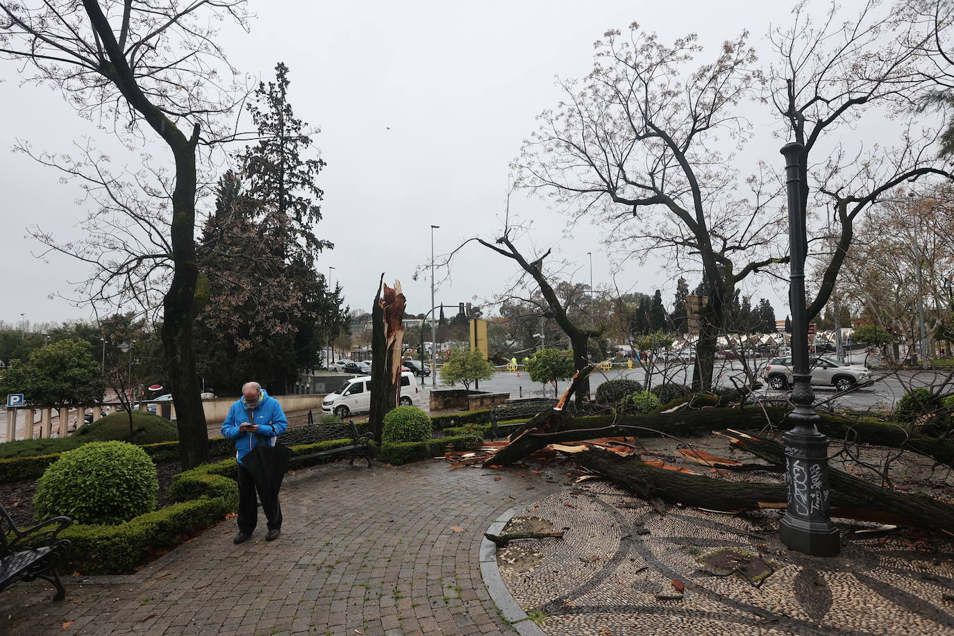 Fotos: los estragos de la lluvia y el viento en Córdoba