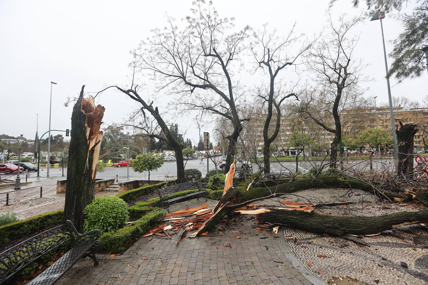Fotos: los estragos de la lluvia y el viento en Córdoba