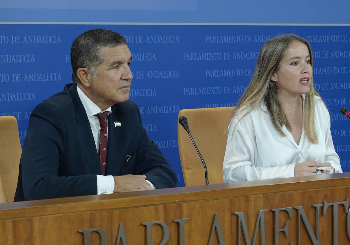 Los diputados socialistas Gaspar Llanes y Alicia Murillo