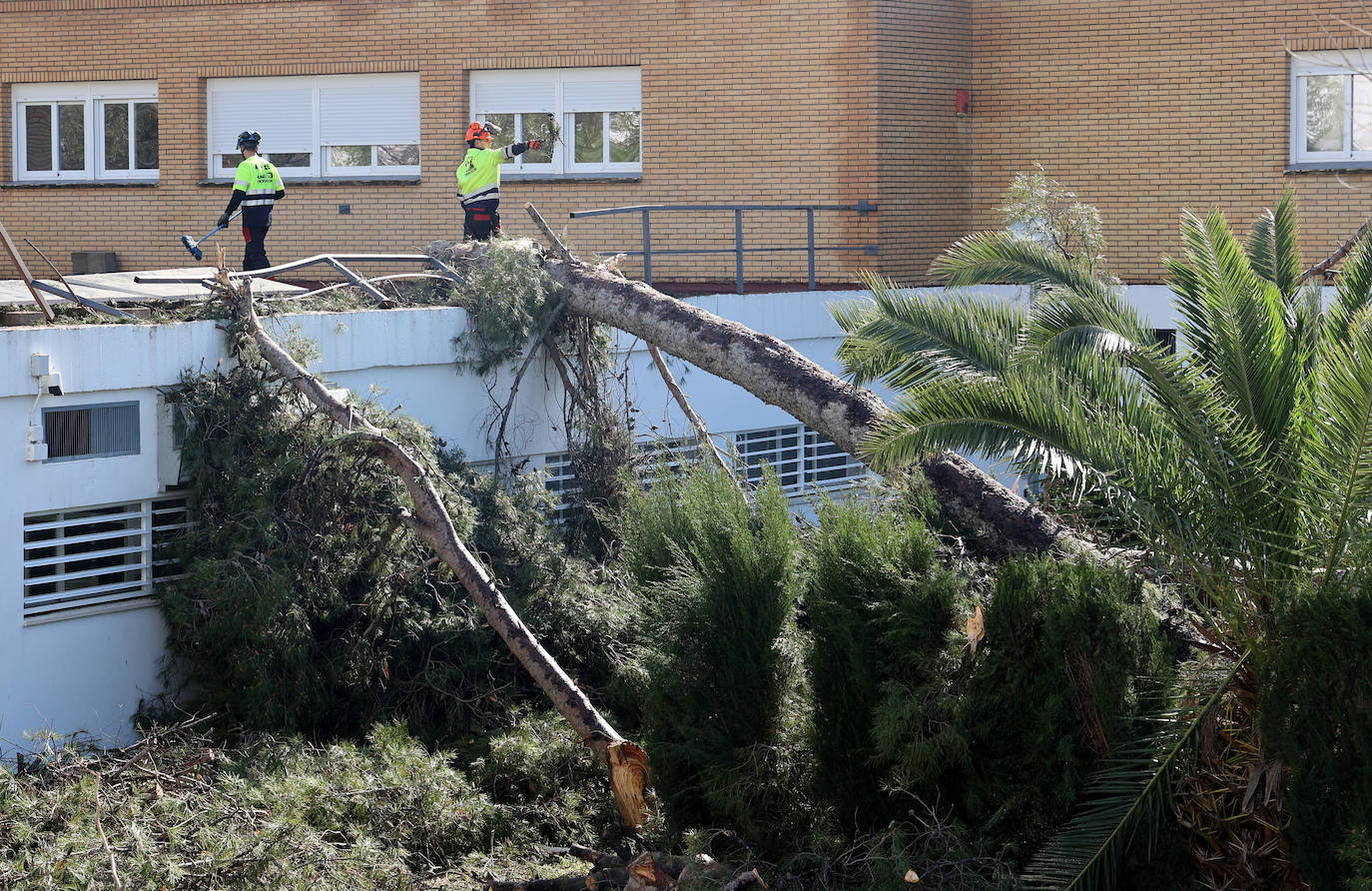 Fotos: operarios intentan recomponer el paisaje urbano de Córdoba tras el tornado